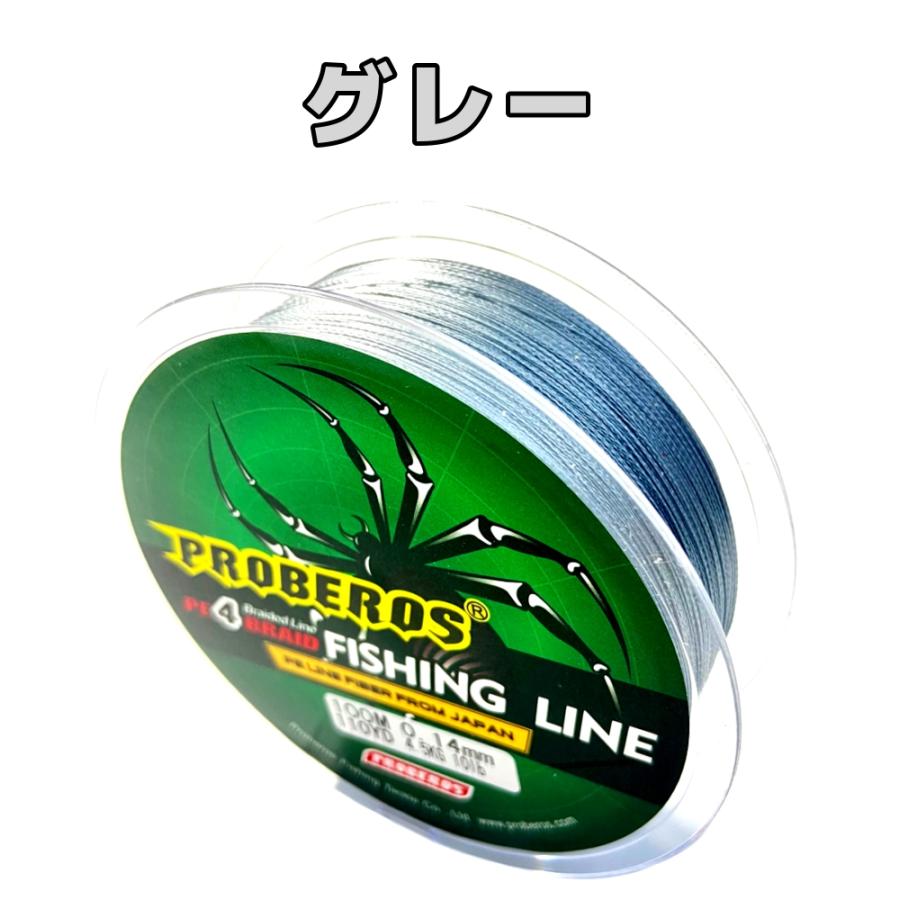 PEライン 4本編 #0.6 Φ0.12mm 100ｍ (10m毎計5色）