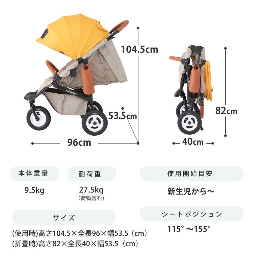 ベビーカー A型 バギー 新生児 エアバギー ココブレーキ EX フロムバース オーバルフレーム AIRBUGGY cocobrake 送料無料の画像