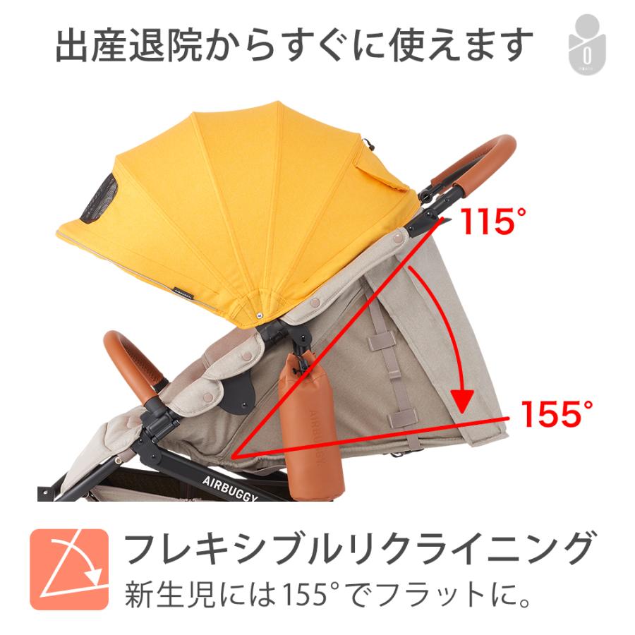 ベビーカー A型 バギー 新生児 エアバギー ココブレーキ EX フロムバース オーバルフレーム AIRBUGGY cocobrake 送料無料の画像