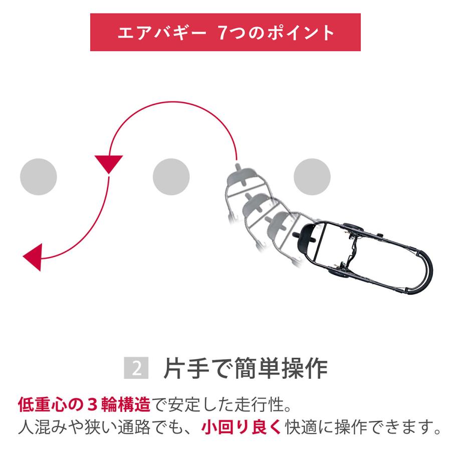 ベビーカー A型 バギー 新生児 エアバギー ココブレーキ EX フロムバース オーバルフレーム AIRBUGGY cocobrake 送料無料の画像