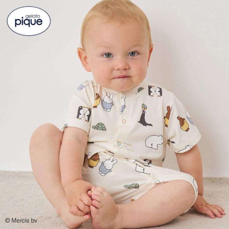 gelato pique 【正規販売店】ジェラートピケ Dick Bruna 接触冷