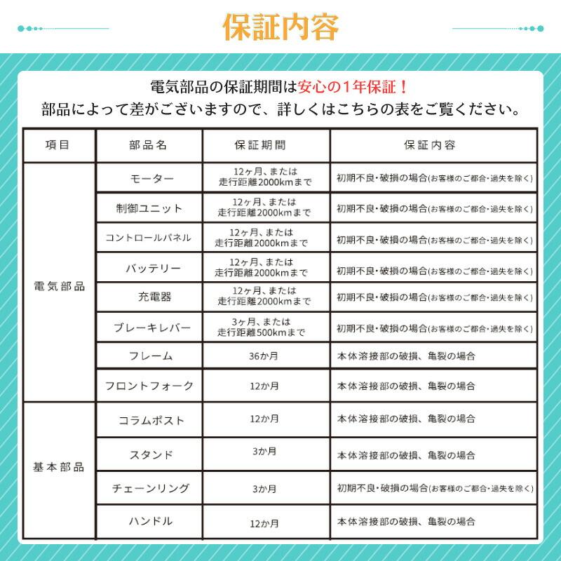 電動自転車 折りたたみ 5色 Hold On Q1J 電動アシスト自転車 電動自転車 折りたたみ 5色 Hold On Q1J 電動アシスト自転車