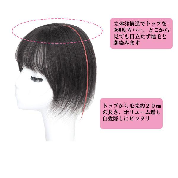 人毛 トップピース ストレート ヘアピース トップカバー 手植え 20cm 30cm 分け目 メッシュベース 部分ウィッグ 増毛部分かつら かつら つけ毛 WIG MGH 017 |  | 08