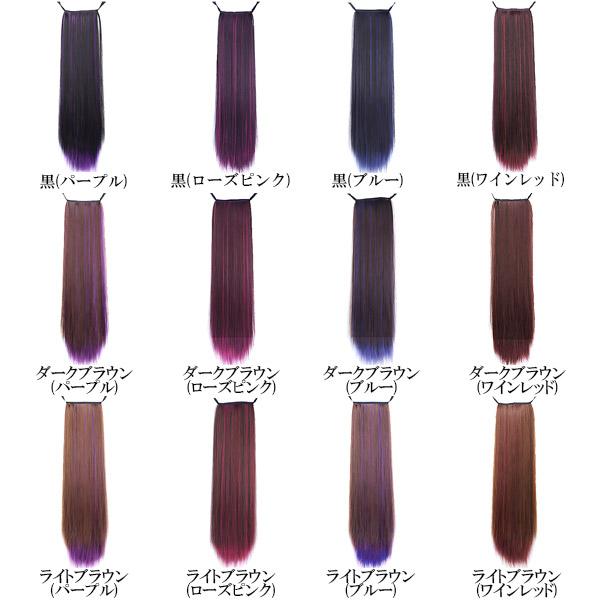 ポイントウィッグ ポニーテール リボン式 メッシュ入り ロングストレート ツートンカラー カラフル 耐熱 付け毛 つけ毛 ウイッグ WIG POINT 013st |  | 13