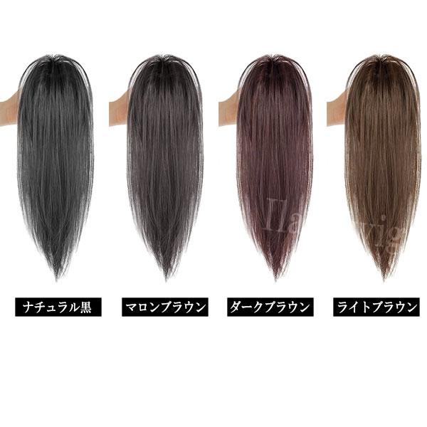 ポニーテール バンスクリップ ショートストレート ポイントウィッグ