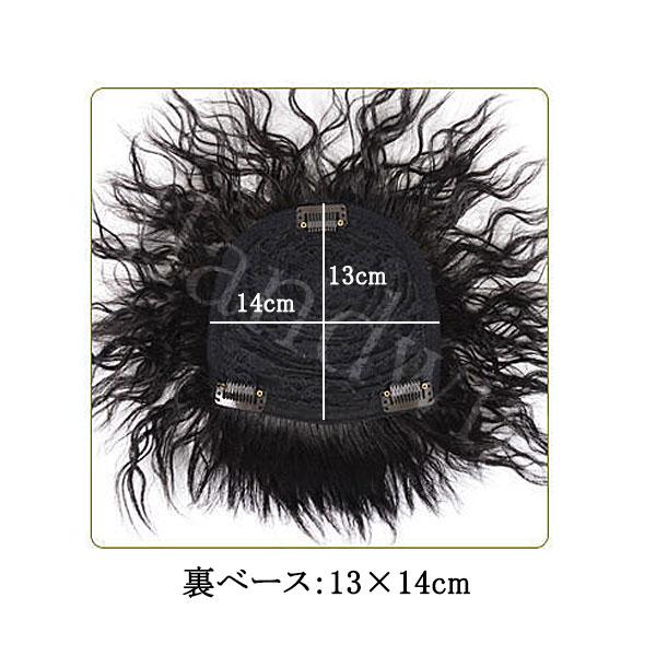 トップピース ゆるカール 耐熱 ボリューム ヘアピース 前髪ウィッグ つむじ ヘアトップピース トップカバー エクステ 付け毛 かつら WIG MG 008 |  | 09