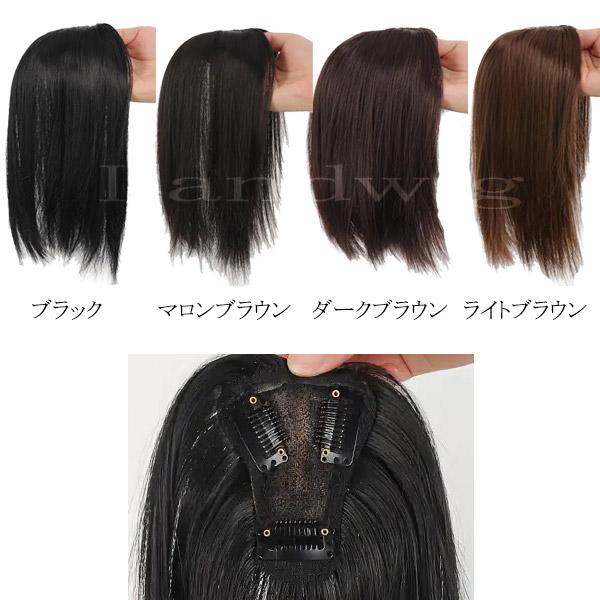 トップピース ワンレン 25cm センター分け トップカバー 前髪ウィッグ 部分ウィッグ ウィッグ エクステ 付け毛 つけ毛 かつら WIG MG 013 |  | 01