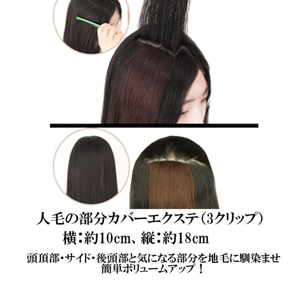 ウィッグ エクステ グラデーション メッシュ ワンタッチ カラー ロング カール エクステンション カラフル グラデ ウイッグ パーマ ウェーブ 付け毛 つけ毛 |  | 07