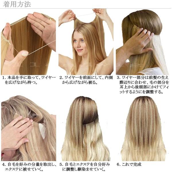 ワイヤーエクステ ウィッグ カール ストレート エクステンション ステルスワイヤー ロング 耐熱 襟足ウィッグ 付け毛 つけ毛 ウイッグ えりあし Wig Ext 015 Ext 015 Ilandwig 通販 Yahoo ショッピング