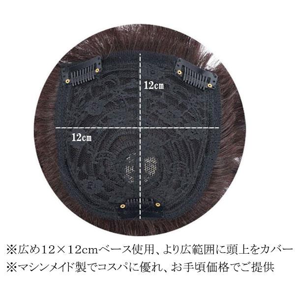 人毛 マシンメイド製 トップピース ストレート 20cm 25cm 30cm