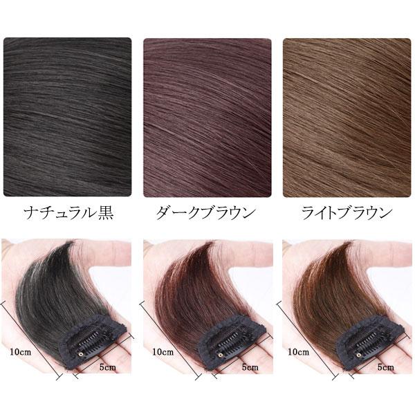 人毛エクステ ストレート 10cm 部分ウィッグ エクステ 人毛 人毛エクステ ストレート 10cm 部分ウィッグ エクステ 人毛