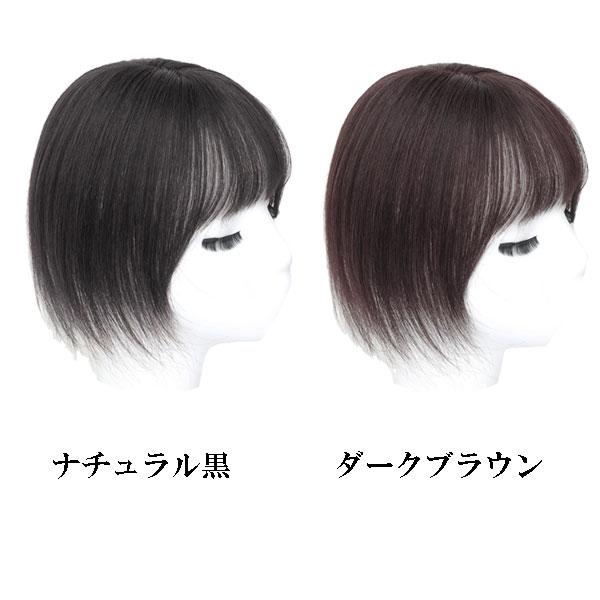 人毛 トップピース ストレート ヘアピース トップカバー 手植え 人毛 トップピース ストレート ヘアピース トップカバー 手植え