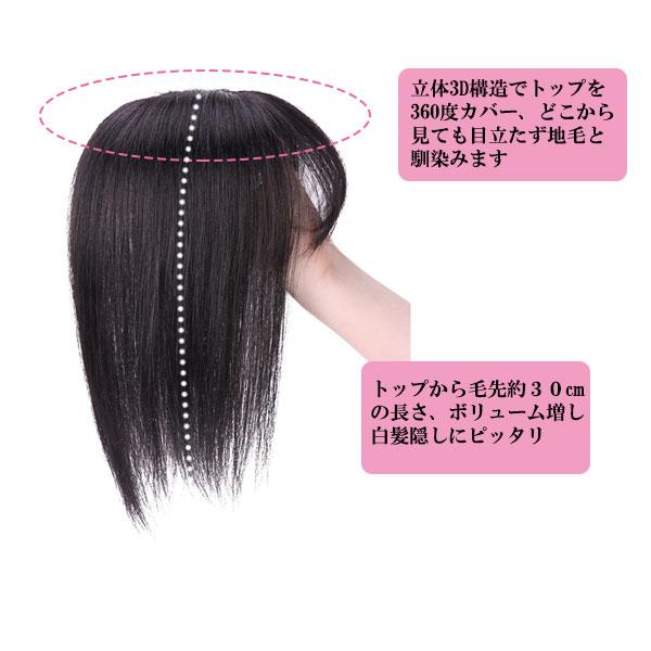人毛 トップピース ストレート ヘアピース トップカバー 手植え 人毛 トップピース ストレート ヘアピース トップカバー 手植え