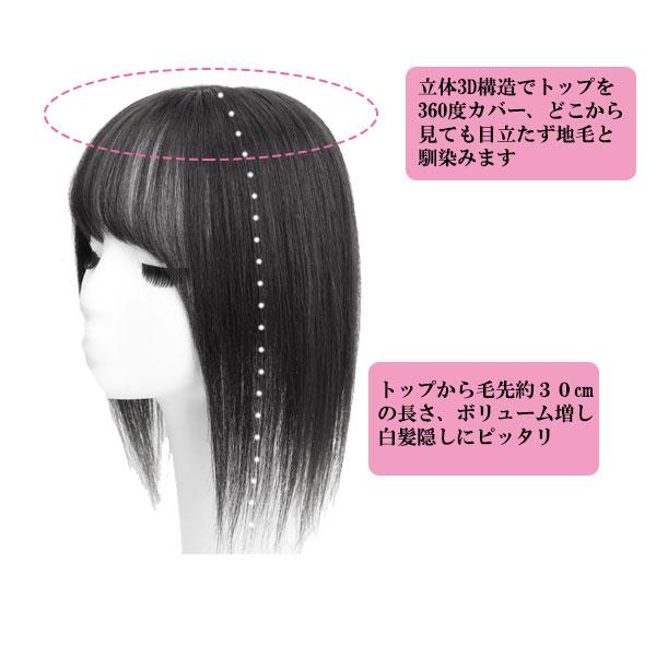 人毛 トップピース ストレート ヘアピース トップカバー 手植え
