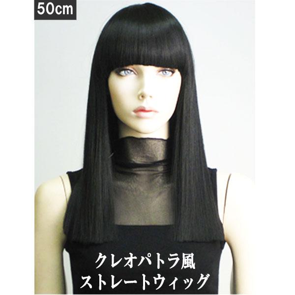 人毛100% フルウィッグ 医療用 ロング ストレート 黒髪 ブラック 50cm 人毛100% フルウィッグ 医療用 ロング ストレート 黒髪 ブラック 50cm