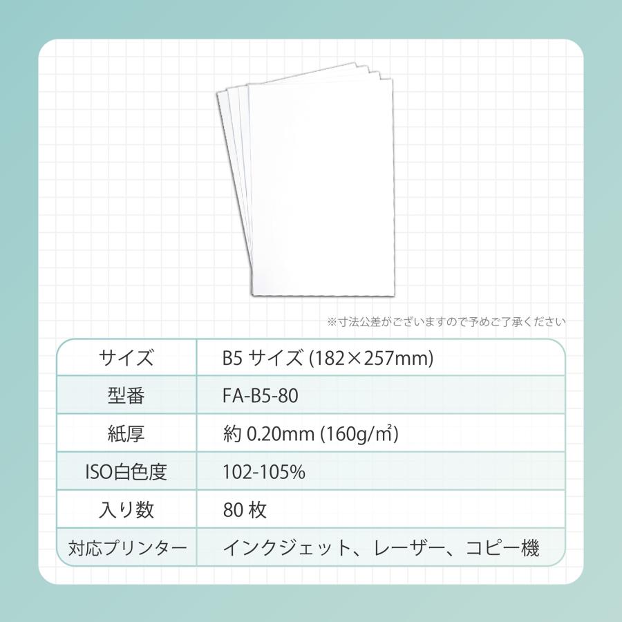 普通紙 B5サイズ 80枚入り 紙厚0.20mm 厚手 両面印刷 インクジェット