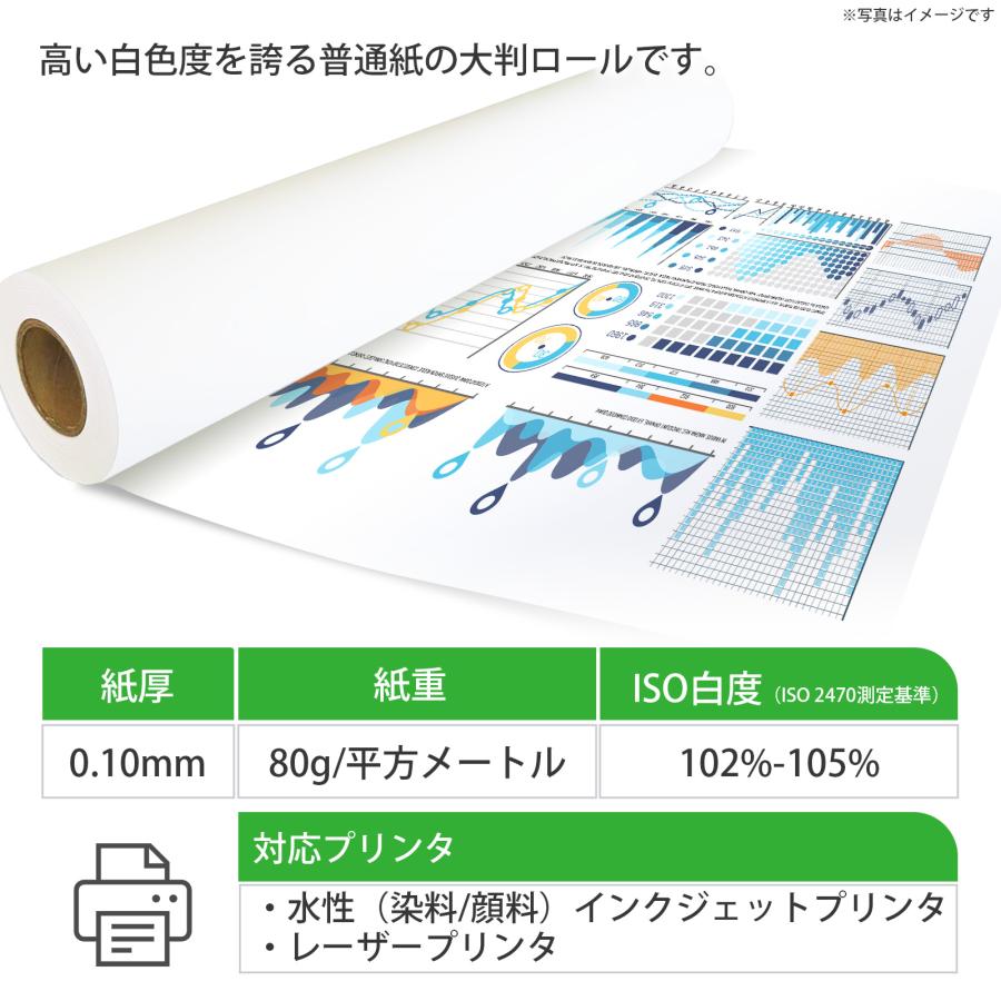 普通紙ロール紙 594mm×50M (A1) 2本 アシッドフリー 無酸紙