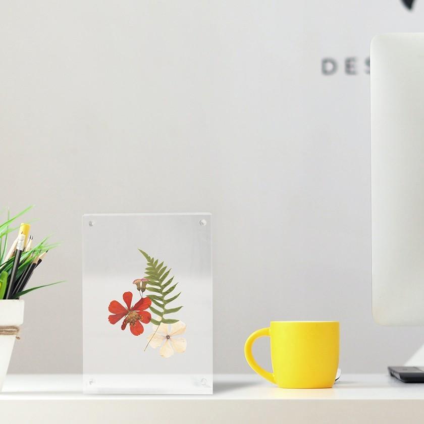 Free! DF アクリルフォトフレーム　2種 アクリルフォトフレーム 750-002 | 名前入れどっとこむ 本館