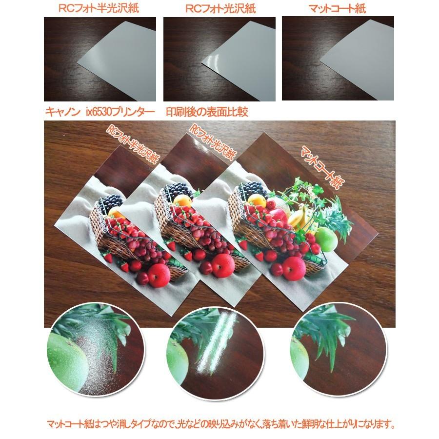 薄手マットコート紙 594mm × 45M (A1) 2本 水性インクジェットロール紙