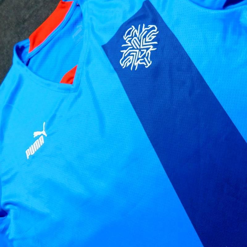 アイスランド代表　22　ホーム　半袖　ユニフォーム　PUMA(正規品/メール便可/メーカーコード766067 01) |  | 01