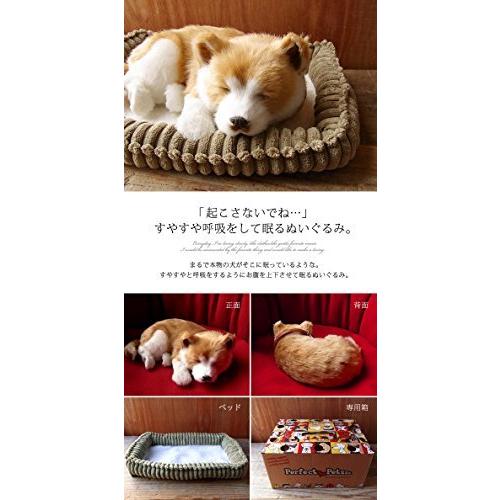 限定価格セール 犬 ぬいぐるみ Sサイズ 約22cm 柴犬 パーフェクトペット ニニアンドキノ リアル スヤスヤ息をしてるようにお腹が動く 本物そっくり ぬいぐるみ Michiganestateplanning Com