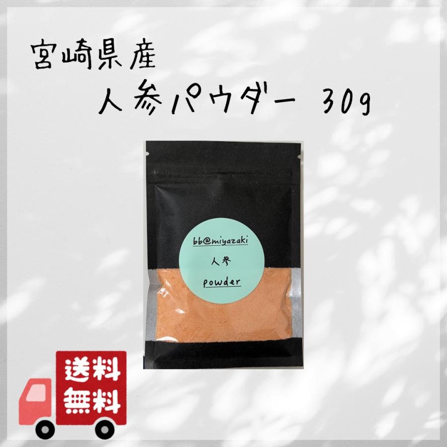 【国産 野菜パウダー】宮崎　人参　パウダー30g ※クリックポスト発送 | 