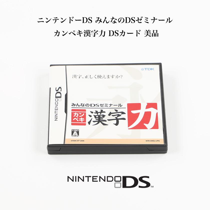 ニンテンドーDS みんなのDSゼミナール カンペキ漢字力 DSカード 美品｜bbl-store｜02