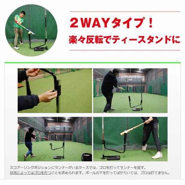 FIELD FORCE（フィールドフォース） 【2Wayタイプ！】 スウィング