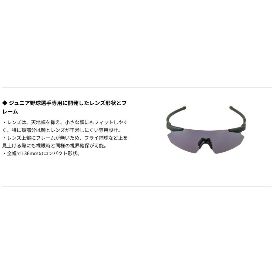 SWANS（スワンズ） サングラス GULLWING FLEX-S GUFS-0018 GMR ガン 