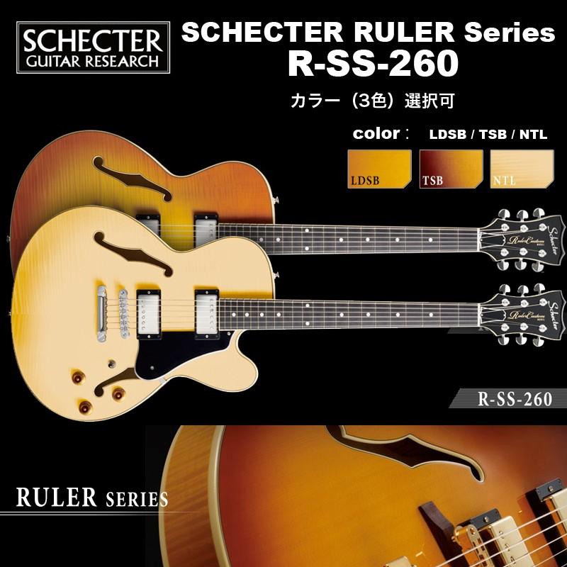 シェクター SCHECTER / R-SS-260 / セミアコ シングル・カッタウェイ  