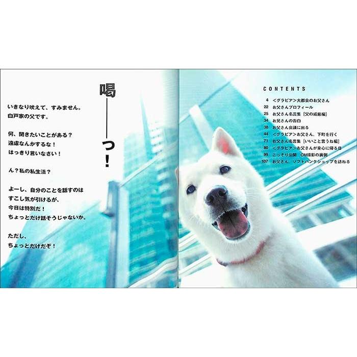 白戸家のお父さんのヒミツ ホワイト ソフトバンク カイくん ペット バーゲンブック バーゲン本 バーゲンブックストアb Books 通販 Yahoo ショッピング