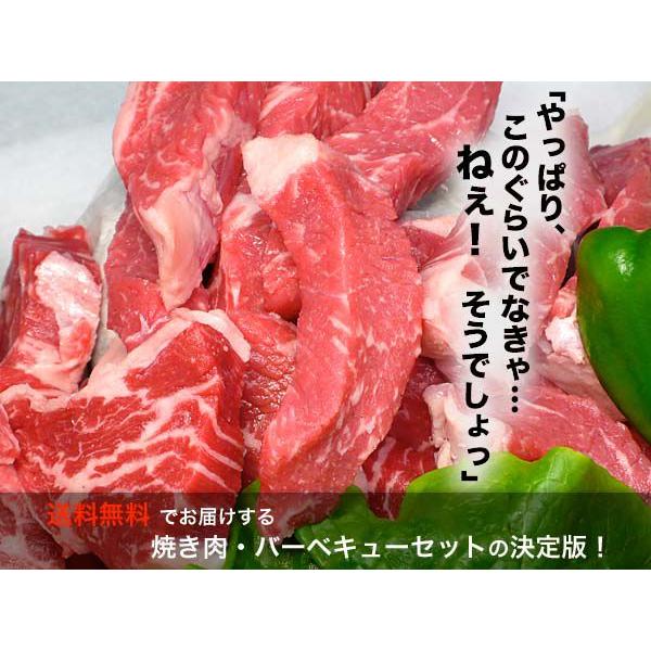 焼き肉セット 上ロース 牛肉 豚肉 鶏肉 自家製タレ付属 1.4kg 冷凍便発送 （BBQ バーべキュー）焼肉｜bbq｜02