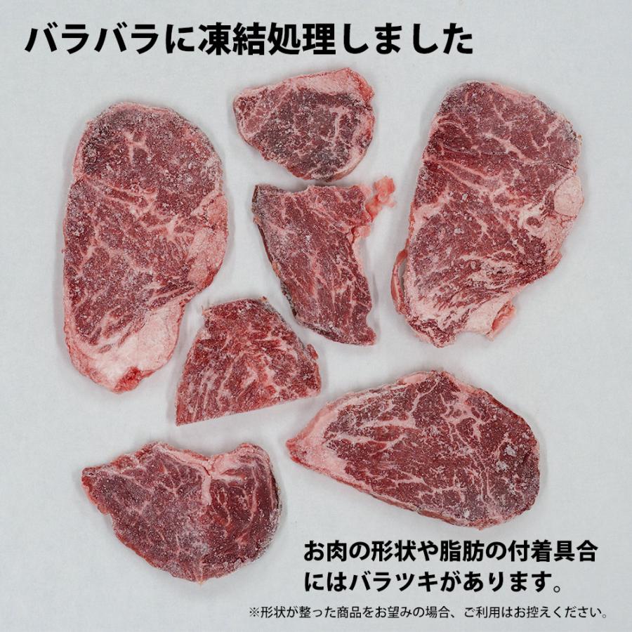 送料無料 焼き肉 セット 牛肉 牛サガリ 800g ばら凍結 冷凍 自家製タレ付属 焼肉 （BBQ バーべキュー）｜bbq｜07