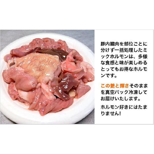 焼き肉 国産 豚肉 ホルモン ミックス 300g 自家製みそダレ付属 q バーべキュー 焼肉 もつ鍋 もつ煮込み P Hrm 0110 肉のいわまyahoo 店 通販 Yahoo ショッピング