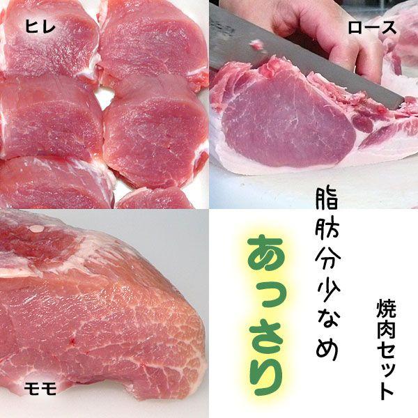 焼き肉セット お試し 食べ比べ 豚肉 やまざきポーク青森県産 豚ヒレ ロース モモ 900g 自家製タレ付属 q バーべキュー 焼肉 Ymp q Set 010 肉のいわまyahoo 店 通販 Yahoo ショッピング