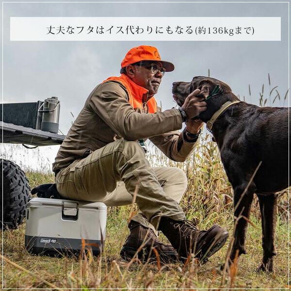 Coleman（コールマン） /お取り寄せ/コールマン プロ ハード クーラー 9QT 容量約8.5L クーラーボックス 小型 ヘビーデューティ プロ仕様  : BBRベビー - 通販 - Yahoo!ショッピング