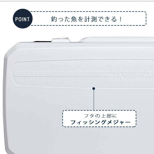 igloo（イグルー） /アウトレットA/ イグルー グライド ローラー