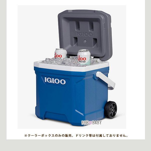 igloo（イグルー） /アウトレット/上蓋へこみ/クーラーボックス 小型