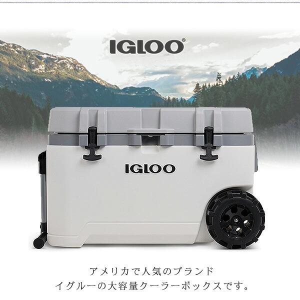igloo（イグルー） ラギッド パフォーマンス クーラー 75QT 容量約70L