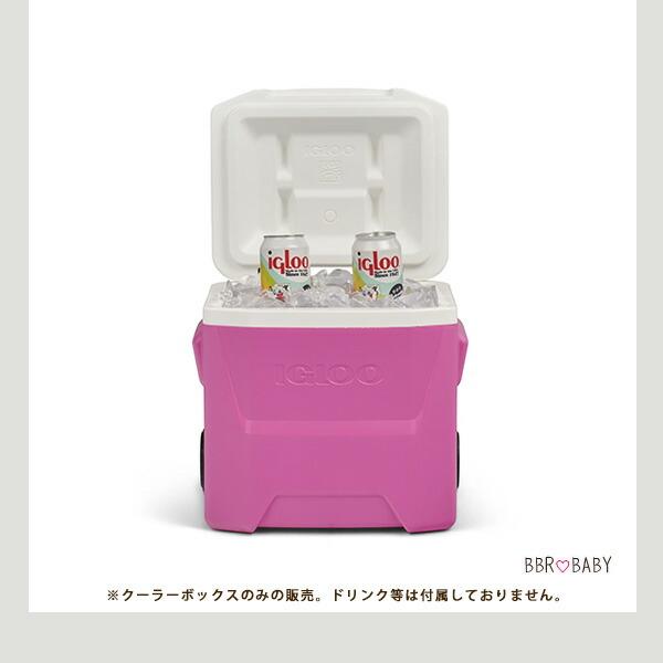 igloo（イグルー） クーラーボックス 小型 ラグーナ アイスチェスト