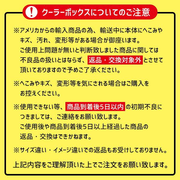 クーラーボックス 小型 イグルー クーラー 30QT 28L ブルー アイスブルー 保冷 ドリンクホルダー 部活 ビーチ キャンプ 釣り アウトドア スポーツ 防災 Iglooの画像