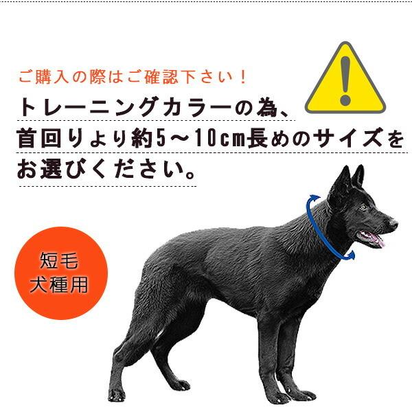 ゆうパケット対応 ハームスプレンガー トレーニング カラー ドイツ製 ドッグチェーン トレーニング用 首輪 短毛犬種用 rベビー 通販 Yahoo ショッピング