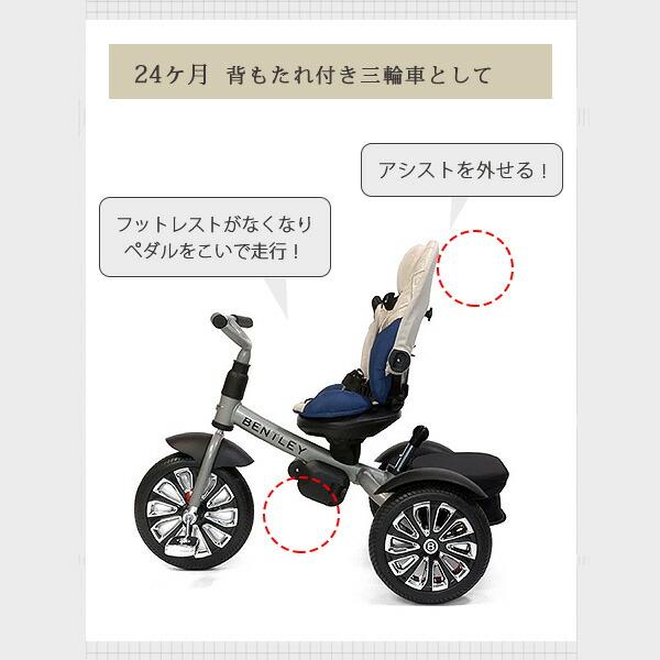ベントレー（BENTLEY） /お取り寄せ/Bentley 限定バージョン 6 in 1