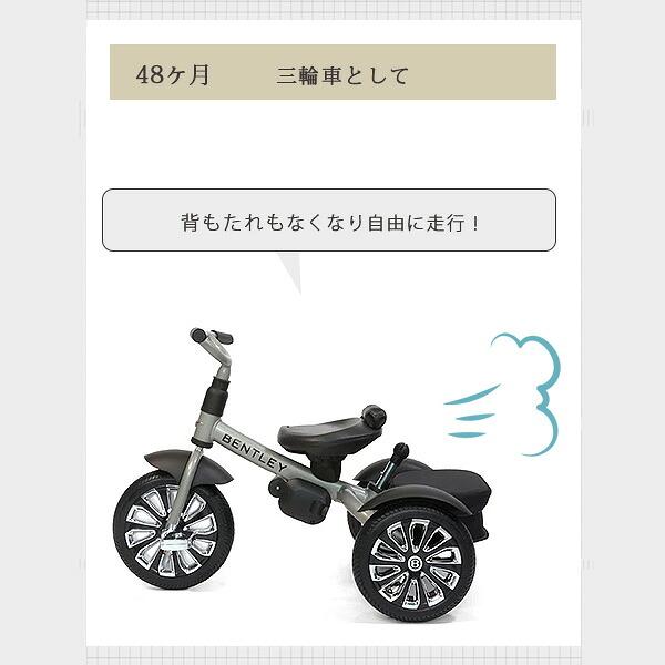 ベントレー（BENTLEY） /お取り寄せ/Bentley 限定バージョン 6 in 1