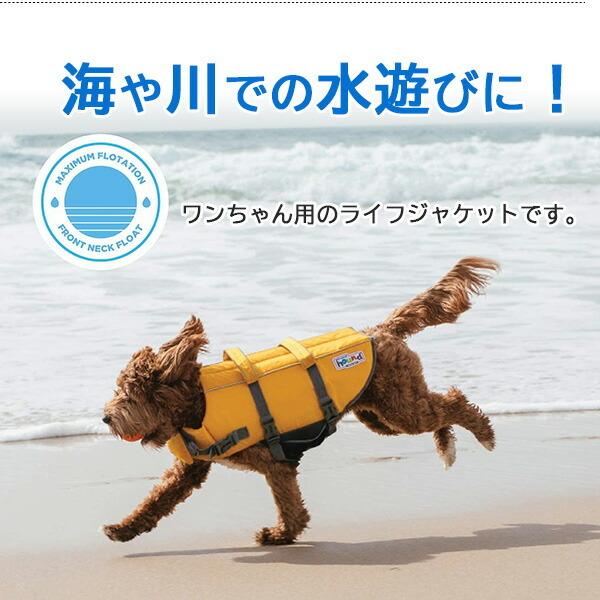 アウトワードハウンド グランビー スプラッシュ ドッグ ライフ 