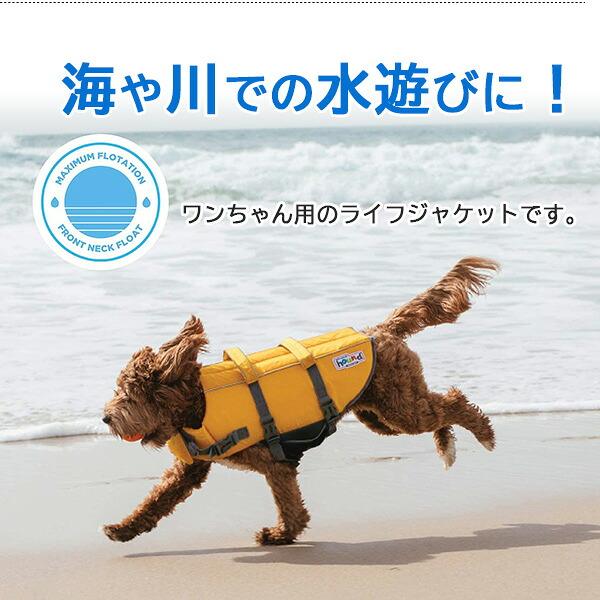 アウトワードハウンド グランビー スプラッシュ ドッグ ライフ