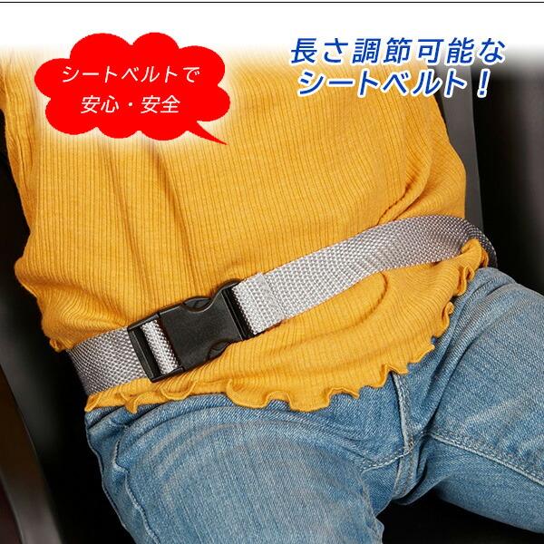 【早い者勝ち】 ラジオフライヤー アルティメット ゴーカート 電動乗用玩具 2人乗り 24V 【W2041492705】(71390円)