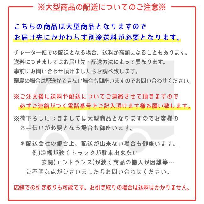 「超メルカリ市」 ラジオフライヤー リッパー バッテリーカー 電動 乗用玩具 2人乗り 12V 電動カー 子供用 おもちゃ 車 【VQL2722055885】(95189円)