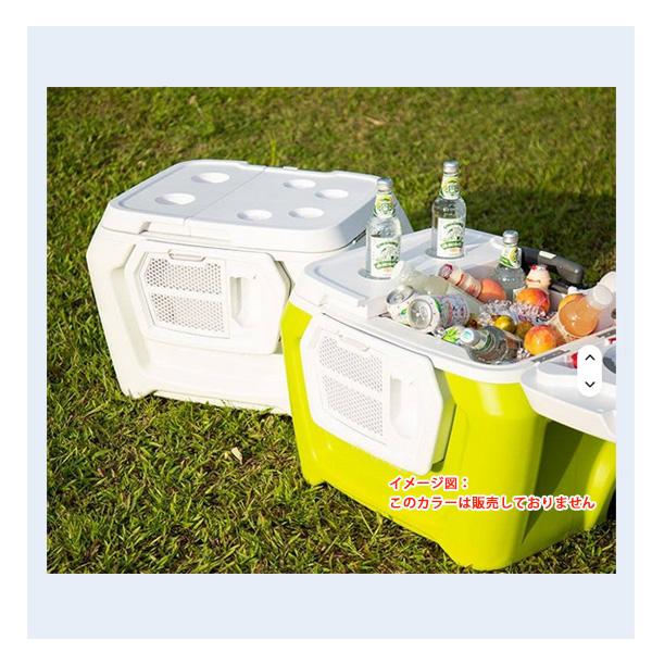 クーラーボックス クーレスト クーラー 60QT /容量約56L/ 保冷