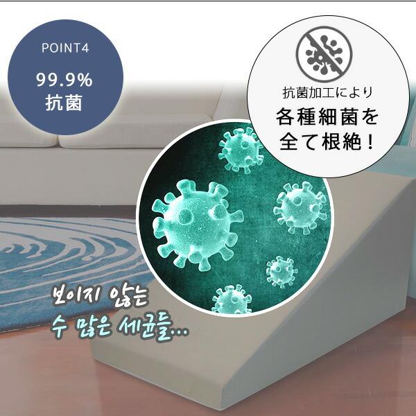 Chocopet ノンスリップステップ 2.0 ベージュ 楽天市場】【クーポン有り】Chocopethouse ノンスリップ